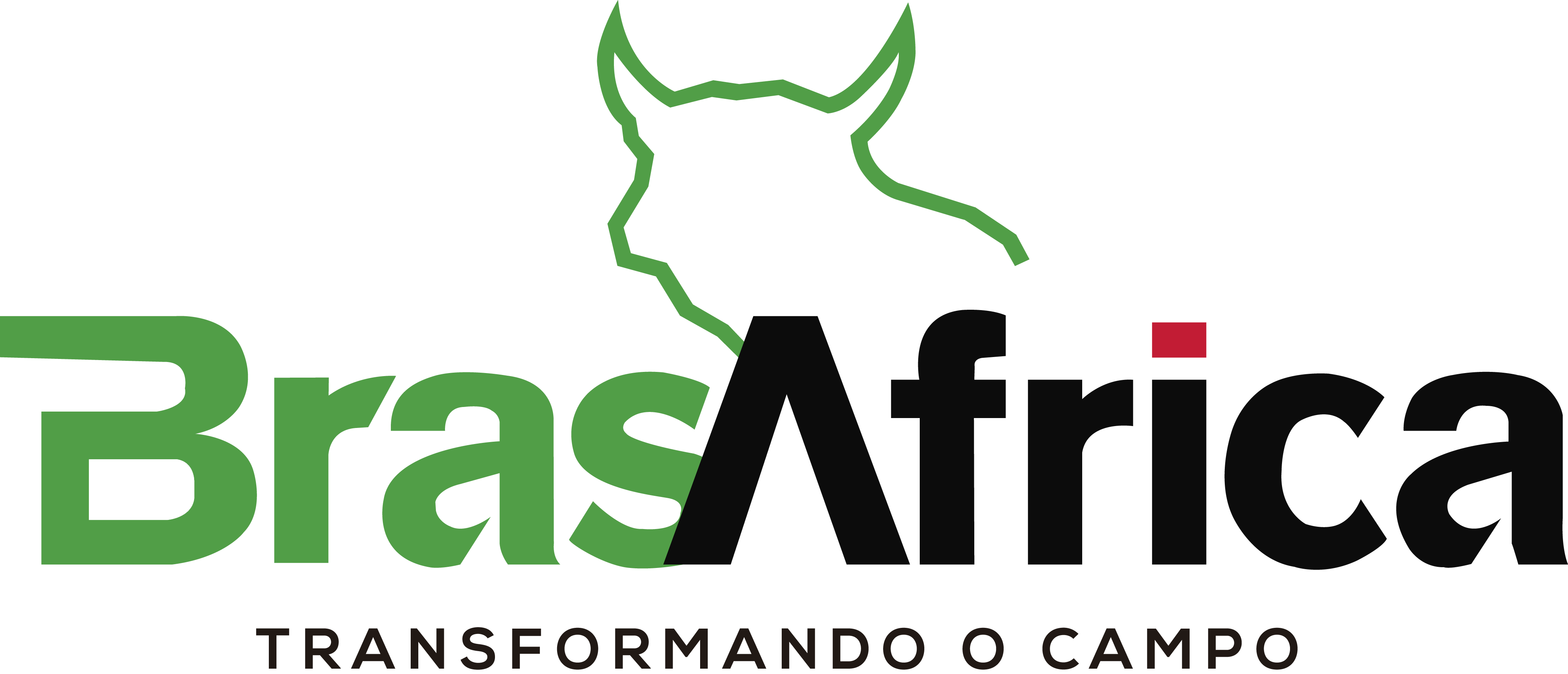 BrasAfrica